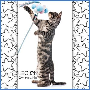 ❤️Plenty of Pom Poms Ribboned Cat Toy - Blue😽